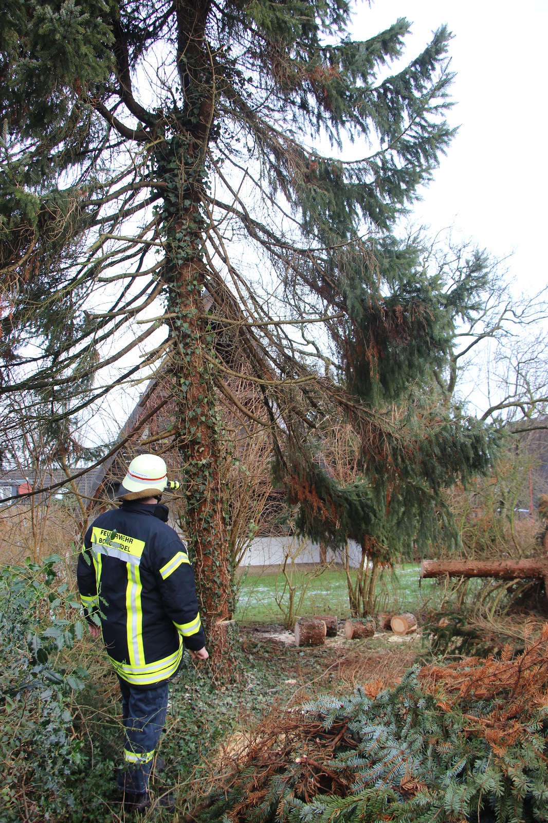 Baum droht auf Haus zu stürzen Freiwillige Feuerwehr